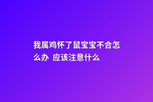 我属鸡怀了鼠宝宝不合怎么办  应该注意什么